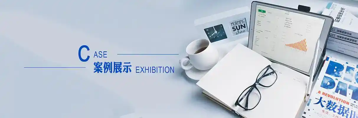 若羌县软件开发
